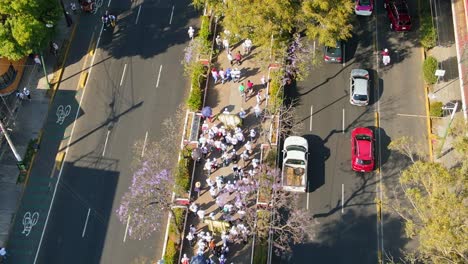 Statische-Luftaufnahme-Einer-Gruppe-Von-Menschen-In-Weißer-Kleidung,-Die-Entlang-Einer-Von-Bäumen-Gesäumten-Straße-In-Mexiko-Stadt-Marschieren