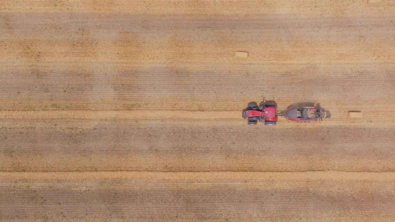 Tørt halm opsamles af en ballepresser trukket af en rød traktor i dette fugleperspektiv. Kameraet følger direkte over maskineriet på en gård i Bruce County, Ontario.