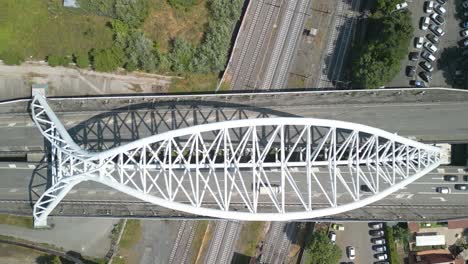 top down aerial view of ponte settimia spizzichino bridge