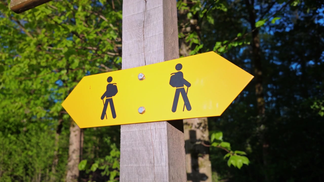 Yellow directional sign with two hiker icons mounted on wooden post in a sunlit forest. Motion towards,
