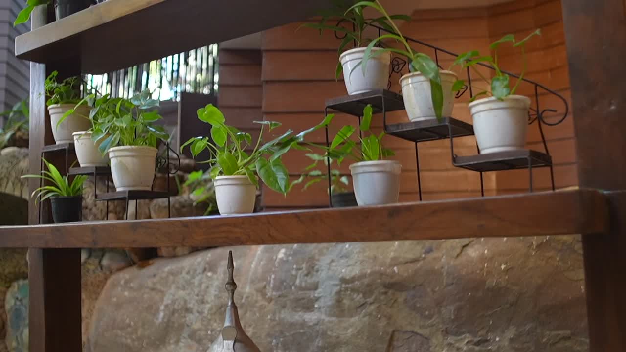 hermoso plan de jardinería vertical de bambú de pie en tomas de primer plano