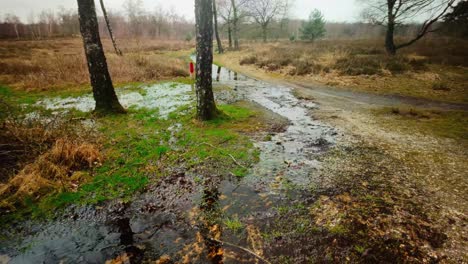 flooded country roads in a winter park with heather, puddles of mud and trees