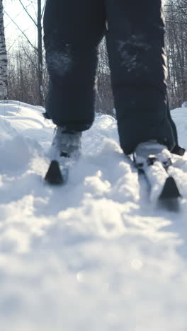 person skiing in a snowy forest