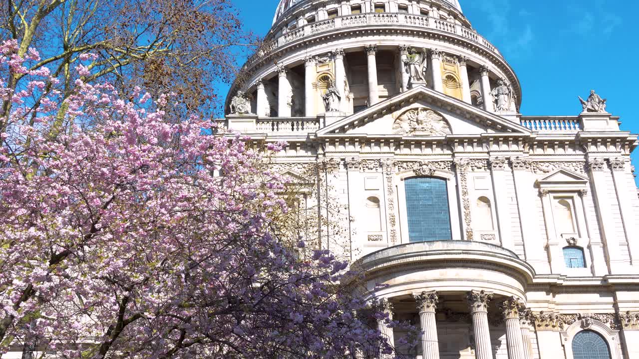 Catedral de São Paulo em Londres com uma cerejeira em flor em primeiro plano. Vista diurna mostrando a fachada da igreja, cúpula e flores da primavera.