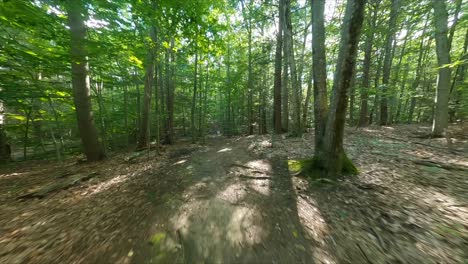 FPV-drone-flying-along-a-straight-hiking-trail-in-the-green-woods-of-New-Hampshire-with-the-sun-flashing-through-the-leaves