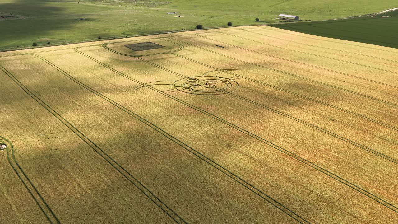 Aerial view establishing smiling jester crop circle on golden patterned Wiltshire farmland meadow