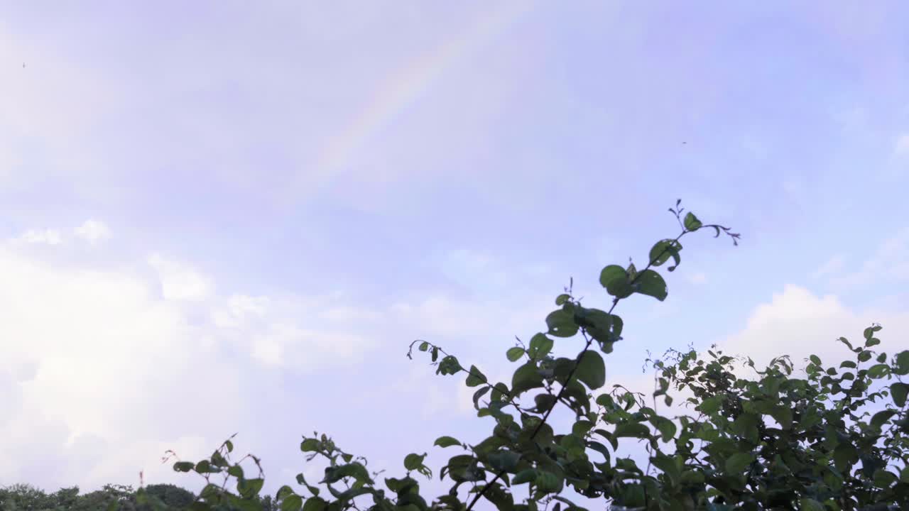 beautiful rainbow in sky greenery forest in palghar Maharastra