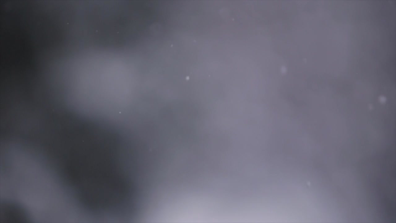 nevando en diciembre de 2018 ubicación: hungría, budapest grabado con un canon 6d