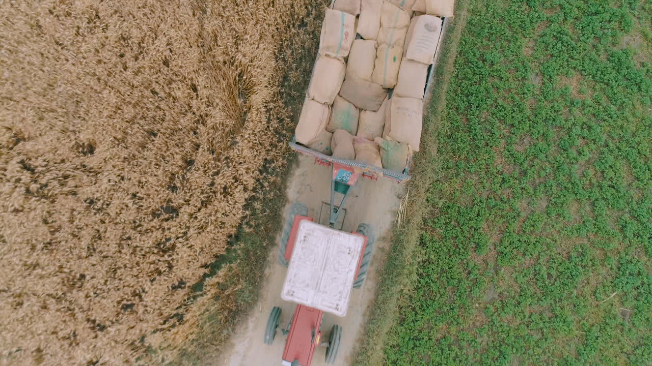 This mesmerizing aerial top drone shot captures the breathtaking sight of a loaded tractor driving through expansive grain fields