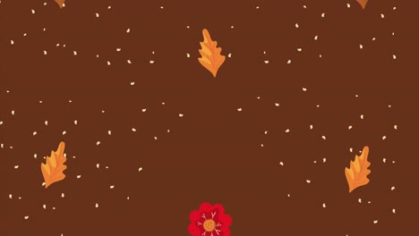 patrón de hojas y flores de otoño