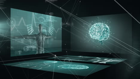 animación de la red de conexiones a través del procesamiento de datos