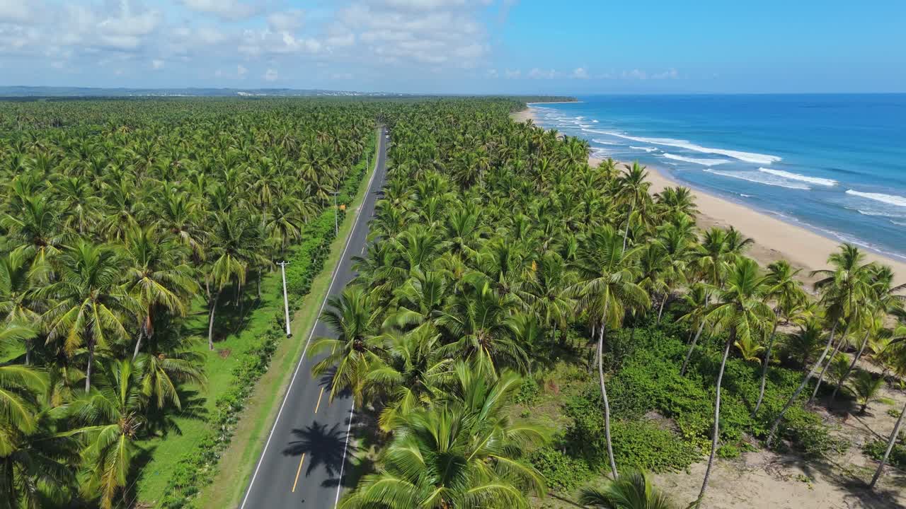 Imagem aérea avançando sobre uma rua ensolarada ladeada por coqueiros verdes vibrantes. Experimente a beleza da paisagem tropical enquanto desliza por este paraíso pitoresco.
