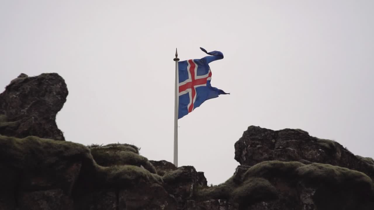 바람에 흔들리는 아이슬란드 발