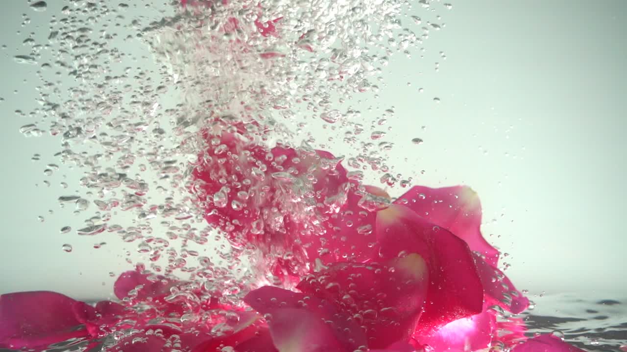 Petali di rose cadono nell'acqua. Sfondo. Movimento rallentato.