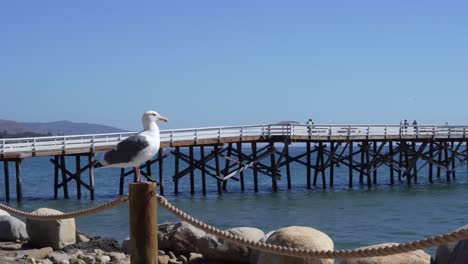 paradise cove in malibu, california