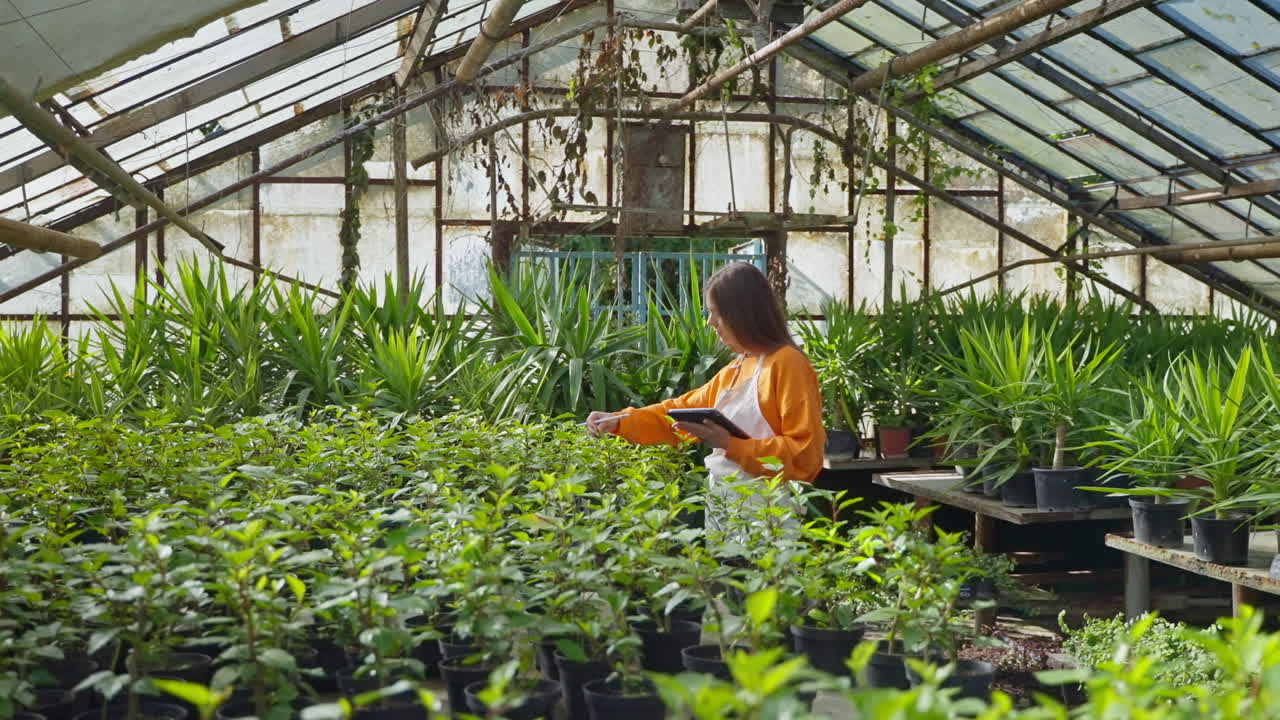mujer inspeccionando plantas en un invernadero