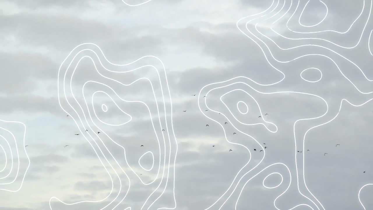 새와 하늘 위의  선 네트워크의 애니메이션