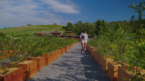 woman walking through blueberry farm