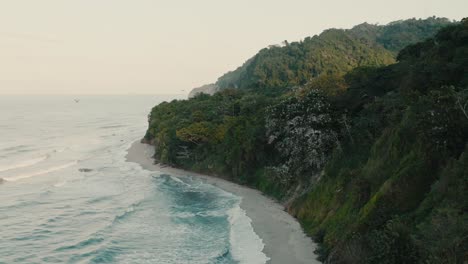 Aerial-shot-of-pelican-tree-nest-in-the-coast-beach,-birds-flying,-Colombia,-la-guajira