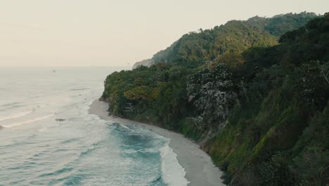 aerial shot of pelican tree nest in the coast beach, birds flying, colombia, la guajira