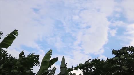 Wolken-Und-Vegetation-Werden-Vom-Wind-Vor-Blauem-Himmel-Verweht