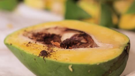 Schädlingsbefall-Auf-Reife-Mango,-Insekten-In-Mango