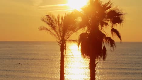 Vista-Panorámica-De-Palmeras-En-El-Fondo-Dorado-Atardecer-En-El-Océano-En-La-Playa-Tropical