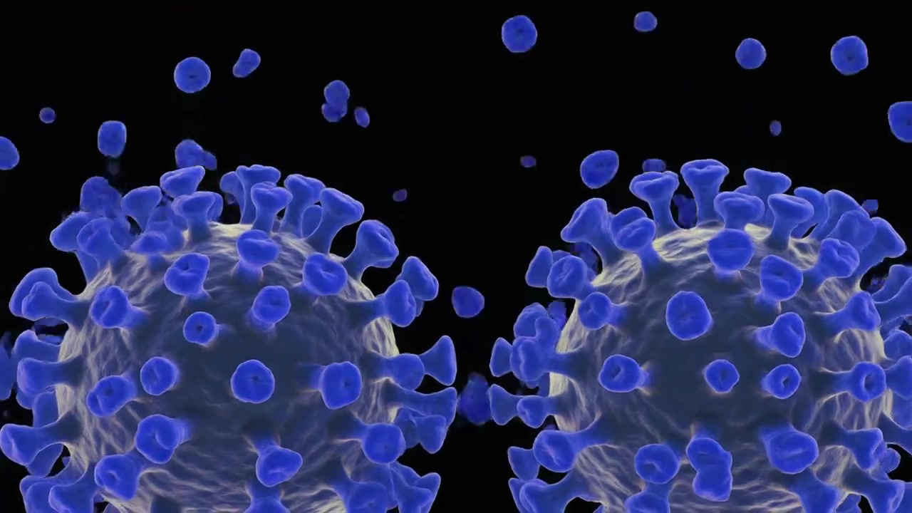 3D Animation of Coronavirus Cells Releasing Viral Particles