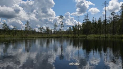 Scenic-lake-view-with-water-reflection-and-forest,-nature-reserve,-Finland