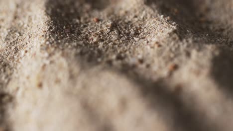 video of close up of sand grains and copy space background