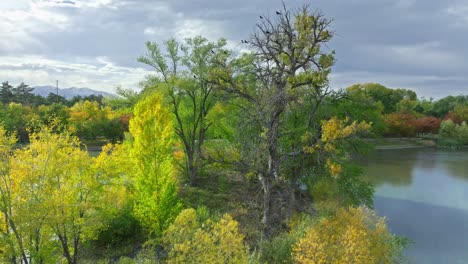 Fliegende-Umlaufbahn-Um-Bäume-Und-See-In-Einem-Wunderschönen-Park-In-Salt-Lake-City,-Utah