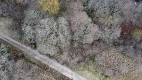 Imágenes-Aéreas-De-Drones-Que-Vuelan-Sobre-Los-Campos,-Una-Carretera-Remota-De-Una-Sola-Vía,-Un-Dosel-Nativo-De-Bosques-De-Hoja-Ancha,-Un-Río-Y-Un-Escocés-Remoto-En-Invierno