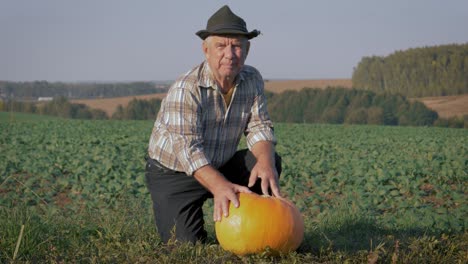 elderly farmer with ripe pumpkin on the background of agricultural fields