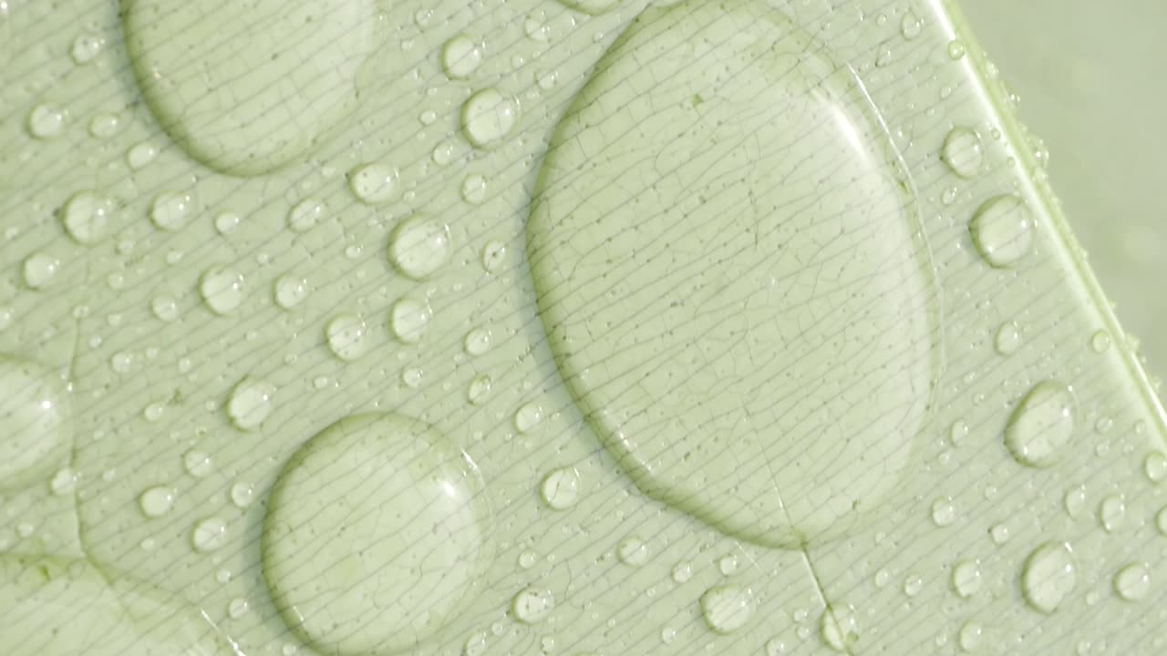 Water Droplets on a Light Green Surface