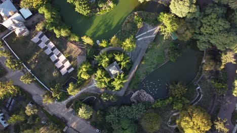 Rotating-top-down-aerial-view-of-ecological-park,-Buenos-Aires