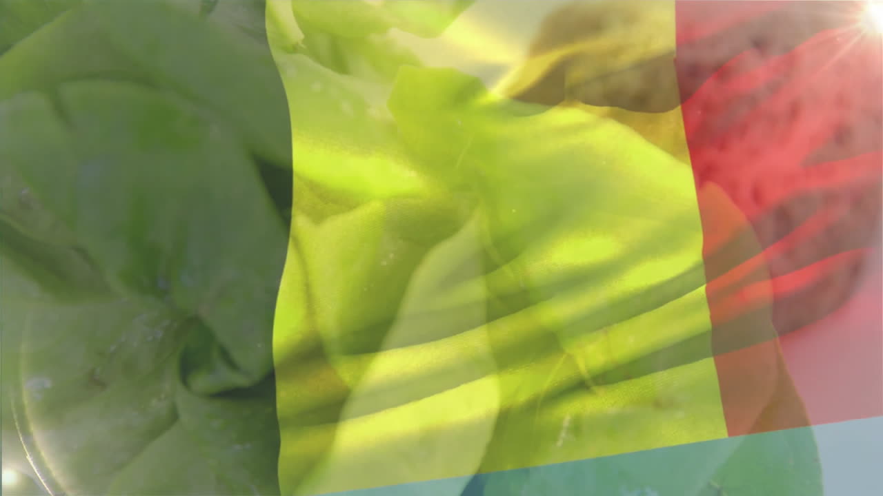 Fusione di forme astratte verdi e gialle con animazione traslucida rossa e verde