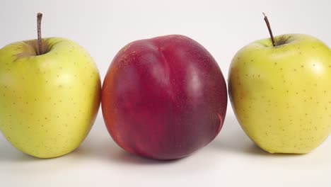 frutas frescas. una mano inserta nectarina roja madura entre manzanas verdes en una mesa blanca.