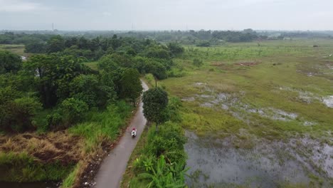 a road that traverses the forest and swamp area