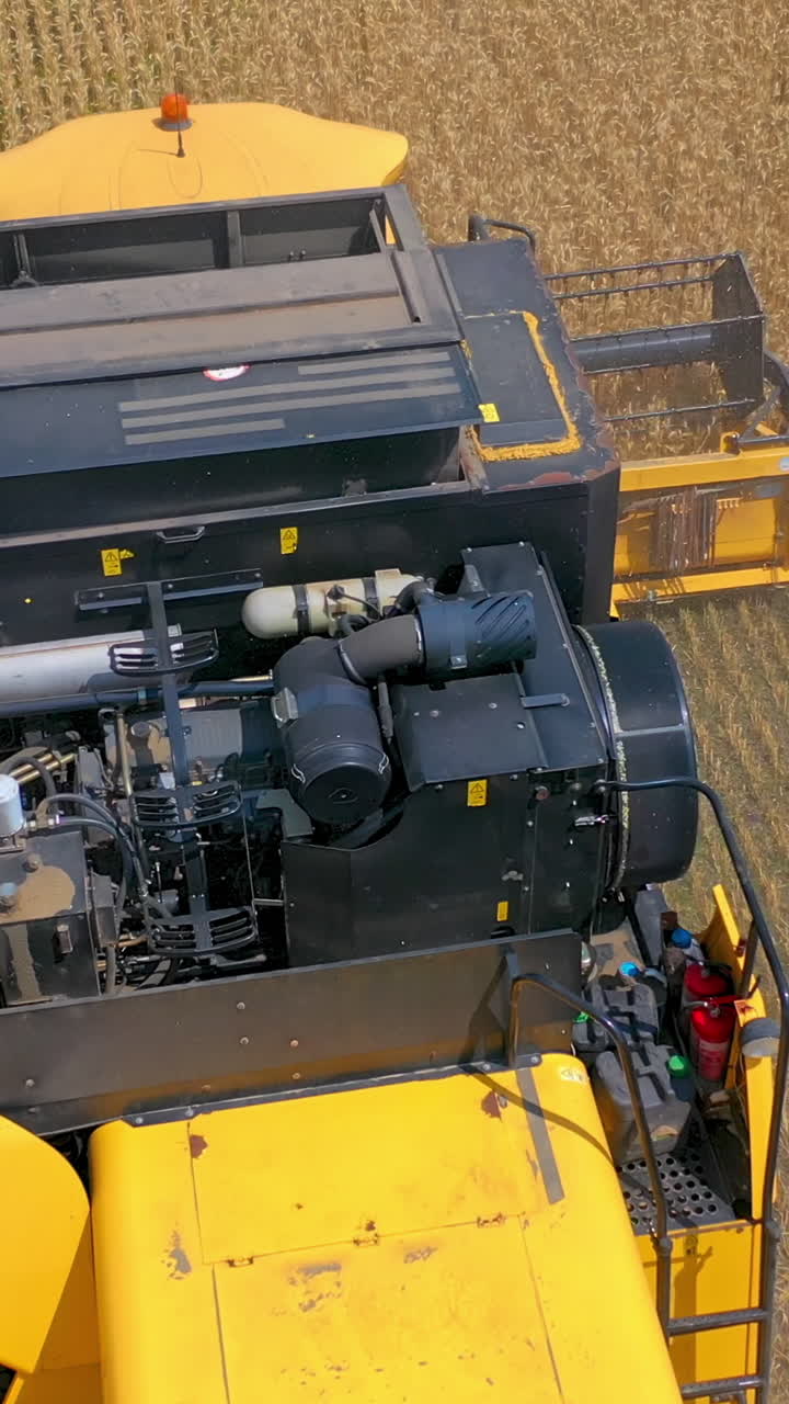 Combine harvester in action on the field. Combine harvester. Harvesting machine for harvesting a wheat field. Vertical video