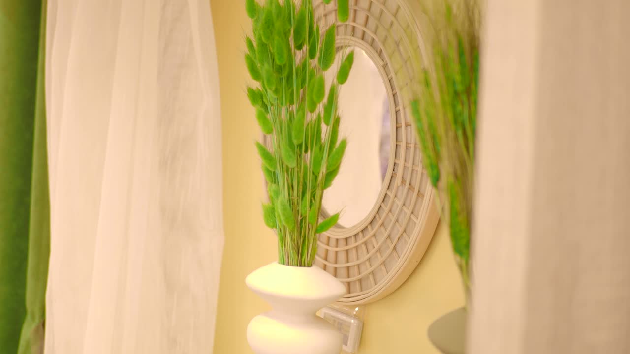 Green decorative plants in a white vase with a round mirror and curtains