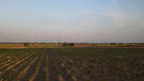 Agricultural-landscape-of-drone-flying-towards-a-ploughland-with-rows-of-plants-and-green-energy-generator-wind-turbines-rotating-at-the-background-in-tropical-countryside,-Thailand-Southeast-Asia