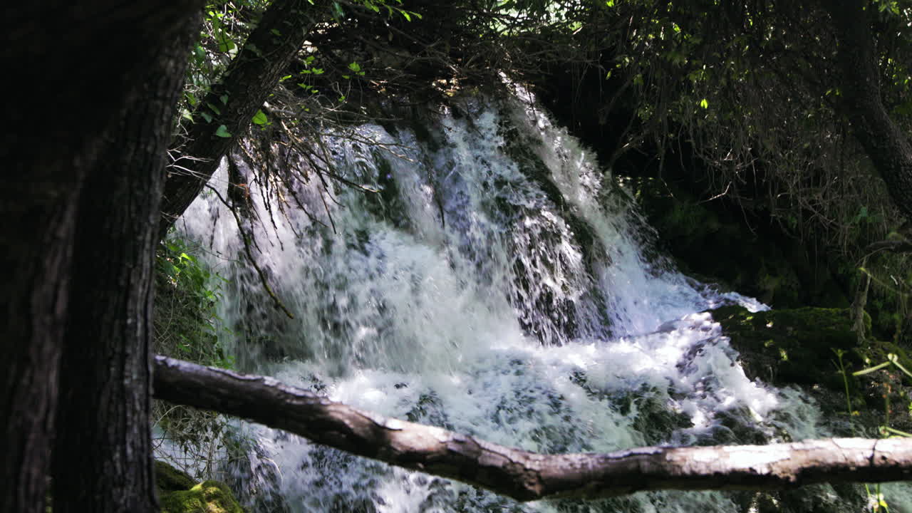 小さな滝を白い水が流れ落ちるのを森の中から眺める