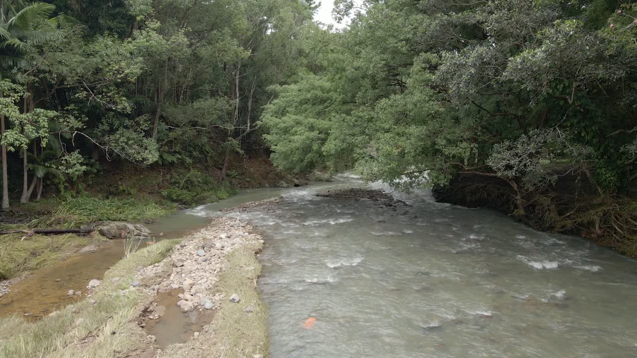 arroyo tranquilo y limpio en el valle de currumbin, queensland, australia