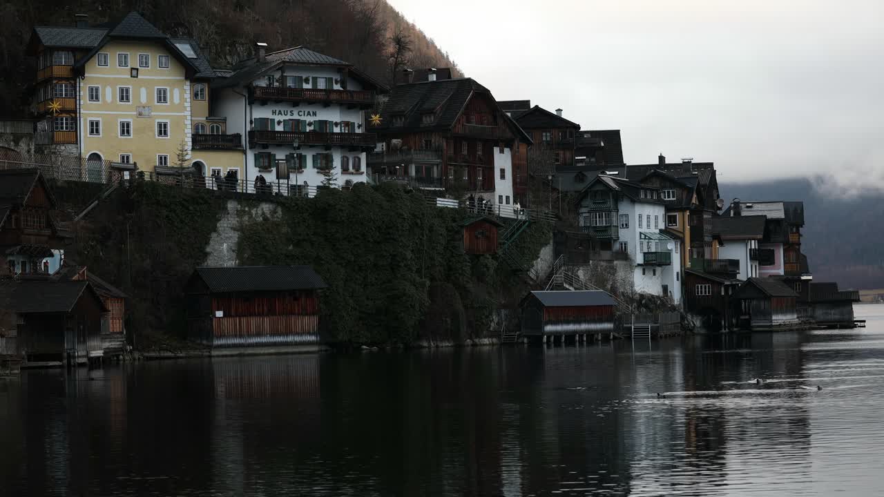 Optagelse af ænder, der svømmer i søen i Hallstatt, Østrig