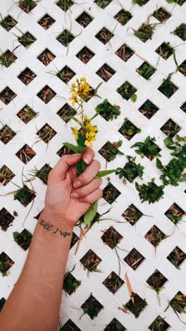 la mano de una mujer sosteniendo una flor amarilla, con un tatuaje que dice "todavía me levanto".