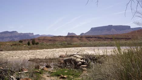 panorámica derecha de rápidos blancos en el gran río peligroso de colorado con grandes formaciones de altiplanos rocosos naturales de piedra arenisca colorida en el fondo en el sur de utah cerca de moab en un soleado día de primavera