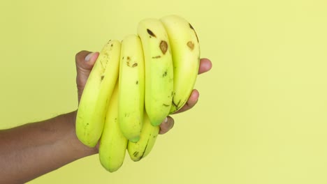 hand holding a bunch of bananas