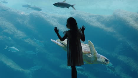 little girl at aquarium watching sea turtle swimming in tank curious child having fun watching fish swimming kid looking at marine life in oceanarium aquatic habitat