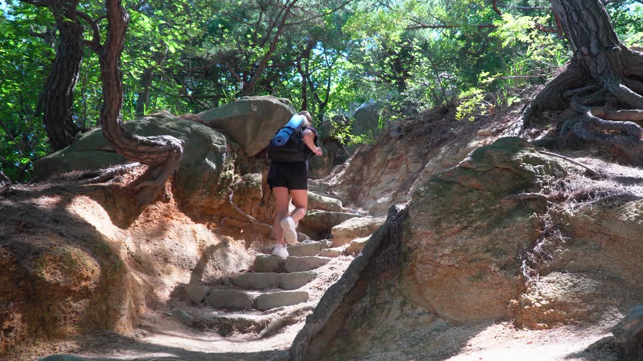 화창한 여름날 한국의 관악산 숲에서 언덕을 걸어가는 검은 옷을 입은 여성 등산객 백패커의 사진 - 뒷모습
