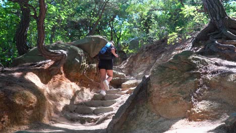 Shot-of-female-hiker-backpacker-wearing-black-clothes-walking-up-the-hill-In-Gwanaksan-Mountain-forest-In-South-Korea-on-sunny-summer-day---back-view